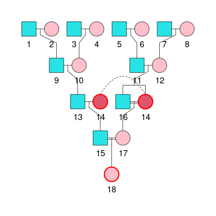 Pedigree example for inbreeding coefficient calculation